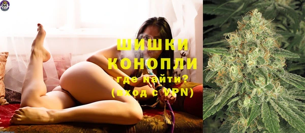 ГАЛЛЮЦИНОГЕННЫЕ ГРИБЫ Алексин