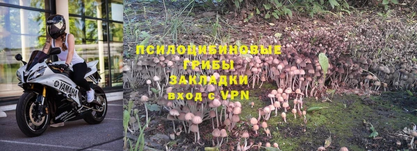 скорость Алексеевка