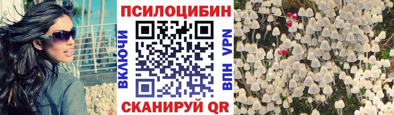 что такое   Навашино  кракен рабочий сайт  Галлюциногенные грибы Psilocybine cubensis 